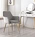 DMF Furniture Modern Velvet Accent Chair Set of 2 High Back Elegant Dinning Chairs with Arms in Living Guest Room (Grey)