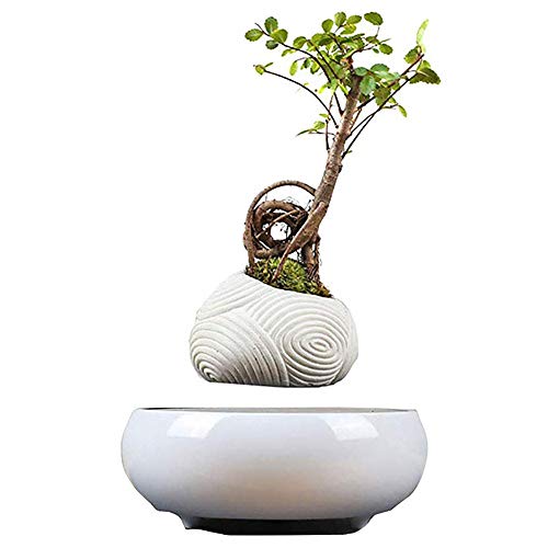 Maceta De Bonsai De Aire De LevitacióN MagnéTica, DecoracióN De Esc