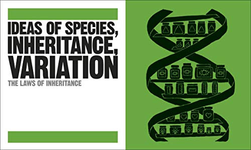 The Biology Book: Big Ideas Simply Explained (DK Big Ideas) - Image 8