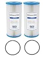 IPW Industries Inc. 10" x 4.5" Whole House Water Filter - Compatible to FXHSC, R50-BBSA, R50-BB and WFHDC3001, American Plumber W50PEHD, GXWH40L - Pack of 2