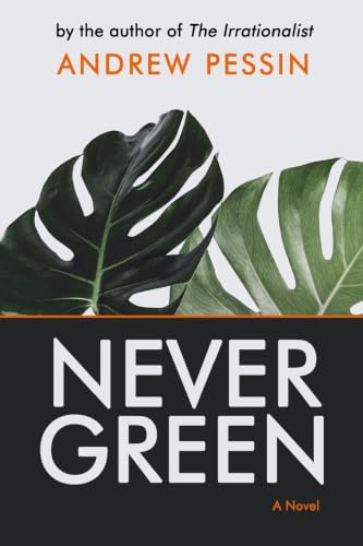Nevergreen view 2