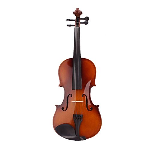 Comprar Violin Profesional Online - Todo sobre el Violin