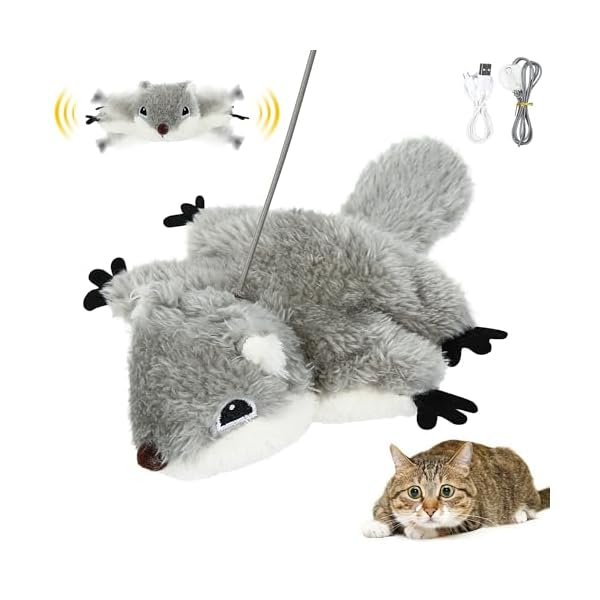 IOKHEIRA Interaktives Katzenspielzeug Selbstbeschäftigung,3 Modi Waschbar Flughörnchen Intelligentes Katzenspielzeug mit Katzenminze USB-Kabel, Elektrisches Hängende Türrahmen Spielzeug für Katzen