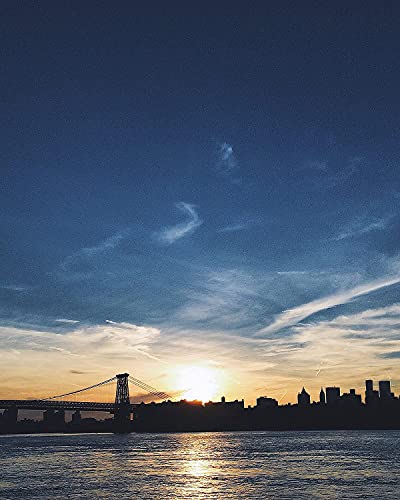 IPKN Moist and Firm BB Cream, Light/Medium