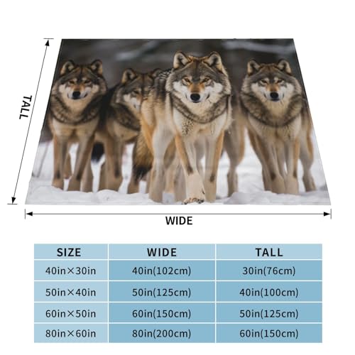 Couverture polaire loups cadeau original et chaud couverture flanelle douce - 3