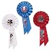 Beistle RAP04 3-Pack 1st, 2nd, 3rd, Place Award Rosettes Party Decor, 3-1/4-Inch by 6-1/2-Inch