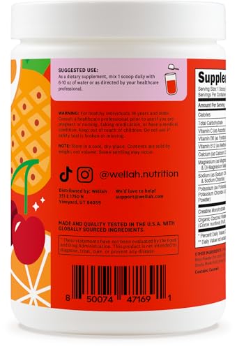 Image of Wellah Creatine + Electrolytes Powder (Fruit Punch) 30 Servings - Hydration Drink Mix with 3g of Creatine Monohydrate