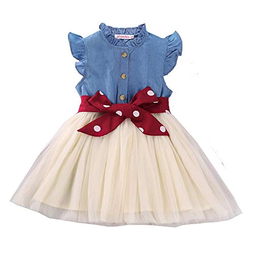CHUNREYAN Little Girl Casual Dress Flower Girls Dresses Toddler Princess Wedding Party Dress (Denim White, 2_Years)
