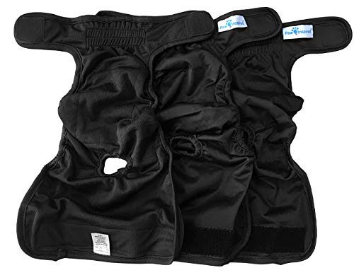 Paw Inspired Washable Dog Diapers | Reusable Dog Diapers | Female Dog Diapers | Absorbent Dog Diapers | Doggie Diaper | 3 Pc | Multiple Colors | Black (Black Lining) | Medium #TOP4