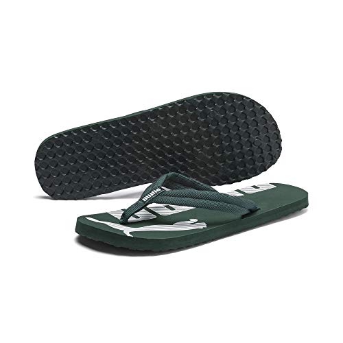 Image of PUMA Epic Flip V2 Synthetic Slipon Womens Athleisure Flip Flops