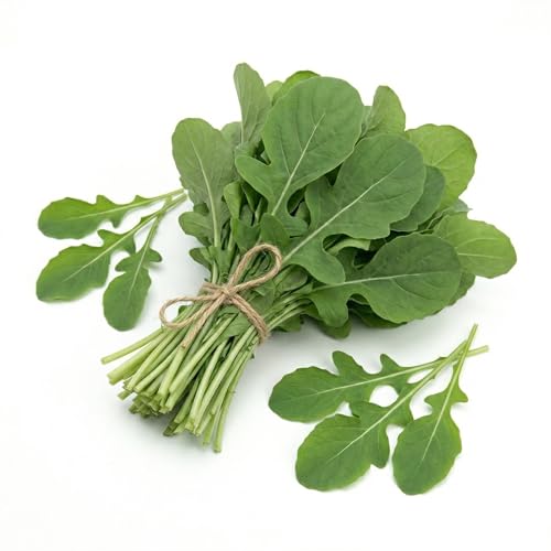 Semillas de Rúcula Cultivada 6g | Alta Germinación | Semillas de Huerto para Maceta, Balcón y Jardín | Ensalada de sabor Intenso y Crecimiento Rápida | Cosecha Continuo | Made in Italy