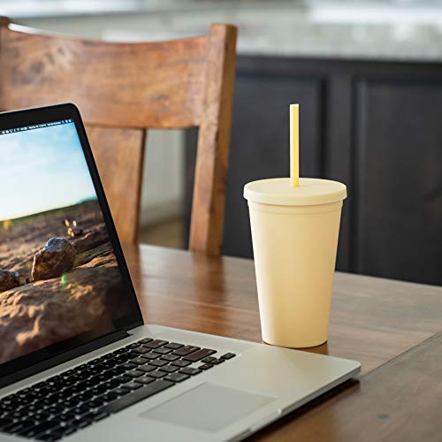 Tumblers With Lids (12 Pack) 16Oz Colored Acrylic Cups With Lids And Straws | Double Wall Matte Plastic Bulk Tumblers With Free Straw Cleaner! Vinyl Customizable Diy Gifts #TOP7