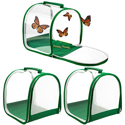 Observatoire papillons monarques filet insectes et chenilles pour jardinage éducatif