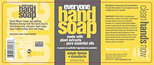 Everyone EO Products Hand Sanitizer Spray, Coconut+Lemon, 2 Fluid Ounce image 3