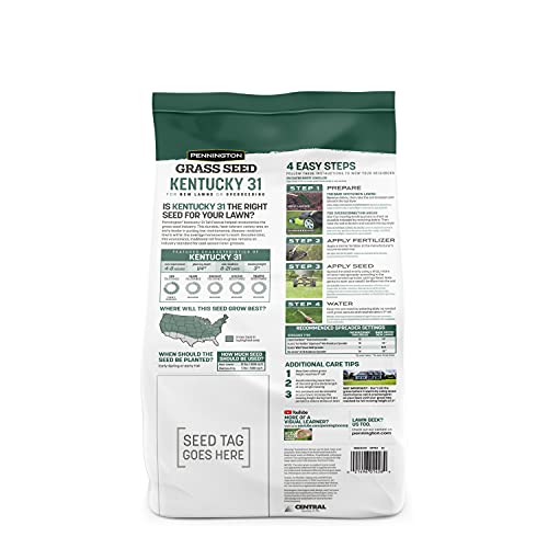 Pennington Kentucky 31 Tall Fescue Grass Seed, 5 Lb #TOP1