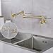 Pot Filler Faucet Brushed Champagne Gold Folding Stretchable Wall Mount Kitchen Restaurant Sink Faucet SUS304 Stainless Steel with Double Joint Swing Arm Single Hole Two Handles NPT Commercial