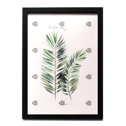 A4TCY (21x29.7cm) ؐ z X^ht  yǊ|\z ʐ^t[ iEёp ƒpEItBXp ()