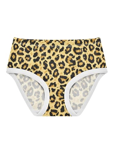 ZZKKO Vintage Leopard Pattern Girls Underwear Toddler Panties for Girls Comfort Brief Size 2T