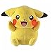 Regalo De Cumpleaños De Pokemon Serie Pikachu Muñeco De Peluche Pikachu Puede Hablar Luz Encantadora Voz Brillante Mejilla Juguete De Peluche Eléctrico Niños