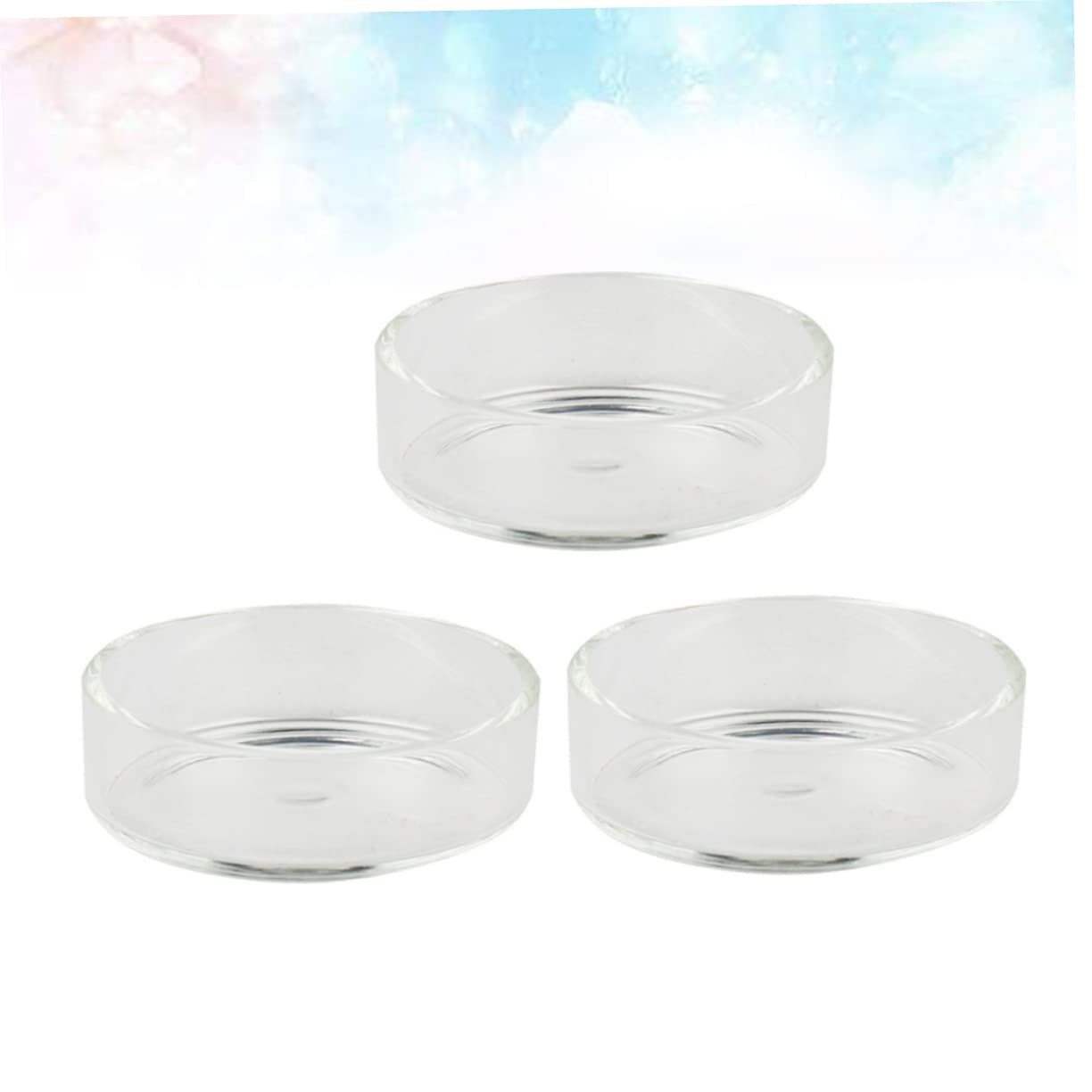 Didiseaon 2 Juegos de Cuencos Redondos de Vidrio para Camarones Comederos para Camarones Suministros para Acuario Adornos de Cristal para Tanque de Camarones 5 Piezas