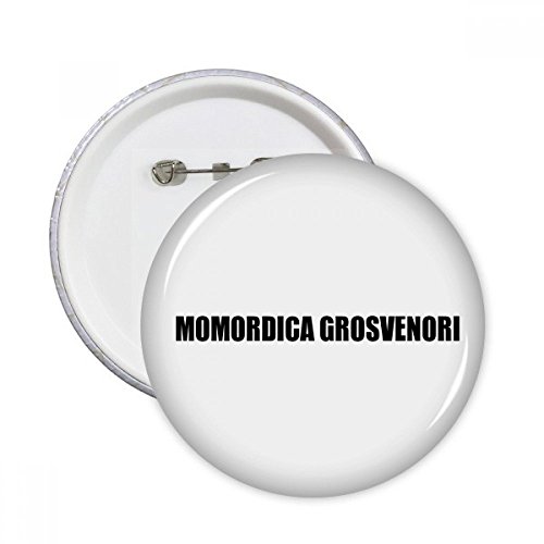 Badge Momordica Grosvenori Pins pour Masquer une Bulle d'Usure