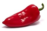 Kapia Paprika Sweet Turkish Pepper Premium Seeds for Planting Packet