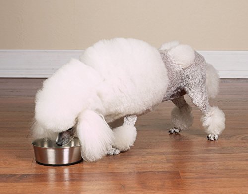 Pro Select Stainless Steel Dog Bowl With Rubber Base Sizes Vary (1 Pack) #TOP3