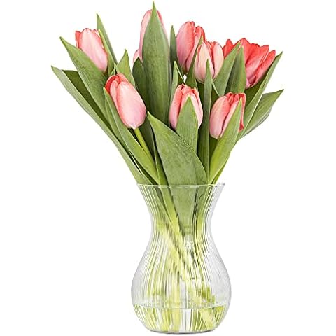 Vase Fleur Lyra Luminous TREND FOR HOME Cover