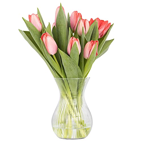 Trend For Home Blumenvase 18 cm Vase für Tulpen Tulpenvase Glasvase für Blumen...
