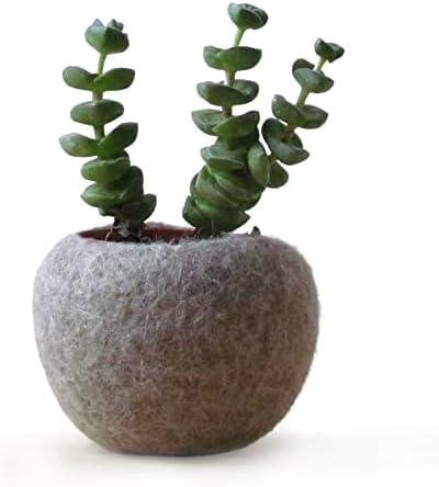 Felt planter/hygge decor/felted bowl/Succulent pod/scandinavian decor/minimalist home decor/air plant vase