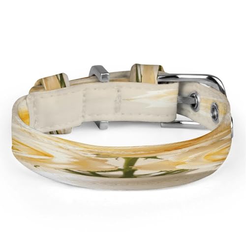 Collar de perro ajustable suave y transpirable de tela Oxford resistente 5