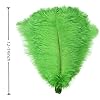 Sowder 10pcs Ostrich Feathers 12-14inch(30-35cm) for Home Wedding Decoration(Lime Green) #2