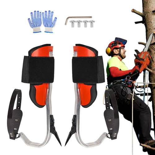 Pointes d'escalade piques d'arbre pour cueillette de fruits et sports d'intérieur