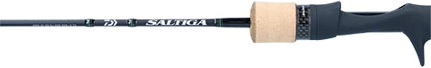 ダイワ(DAIWA) スロージギング 21 ソルティガ SJ AGS TG 各種