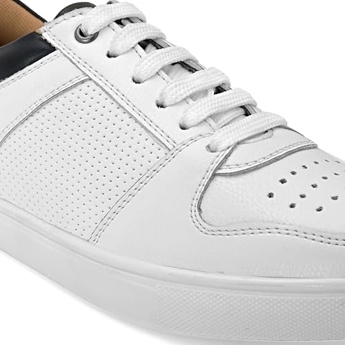 Image of STANPHORD Mens Eclipse Steps Sneakers | Perforated Chunky Casual Lace Up Shoes | Trendy Flat Sole Slip Resistance Comfortable Footwear