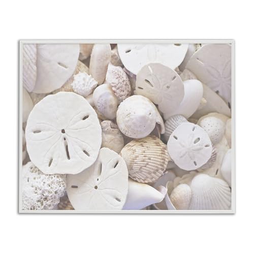 Stupell Industries 'White Mixed Sand Dollar Shells', Framed Giclee Art, White, 20 x 16 Inches, Easy to Hang and Sturdy, Made in USA, by Lil' Rue