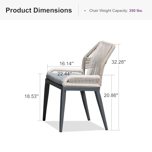 PURPLE LEAF Patio Dining Chair Set 2 Pieces Aluminum Modern Furniture Seating for Garden Kitchen Porch Outdoor Wicker Dining Chairs with Cushions, Dark Grey