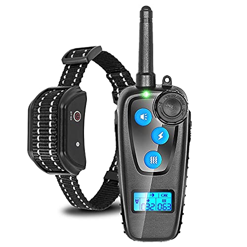 Collier de Dressage de Chien Vibrant : Test Complet et Avis Expert