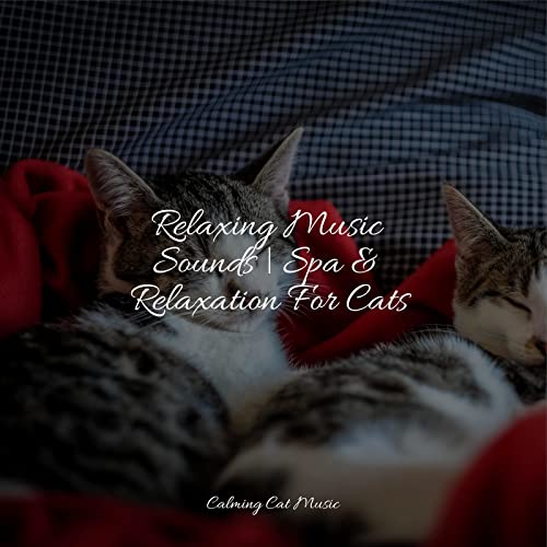 Play Relaxing Music Sounds Spa & Relaxation For Cats by Cat Music