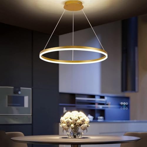 Lustre moderne brossé pour ajuster la lumière sans se déplacer - 4