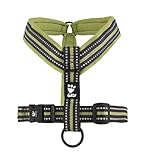 hurtta trail hundegeschirr raven  Hurtta Hundegeschirr, gepolstert, Y-Form, Birkengrün, 90 cm