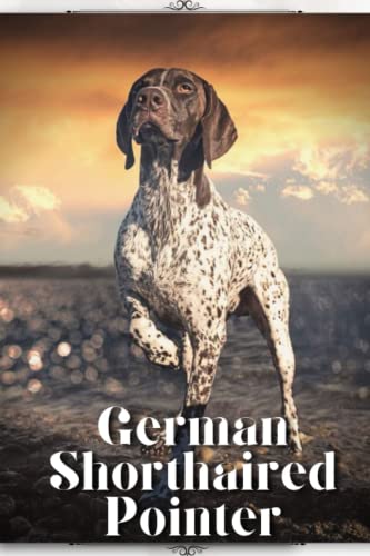 German Dog Breeds