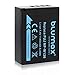 Blumax - Batteria compatibile con Fujifilm NP-W126s NP-W126 - Fuji XT-3 XT-200 X-A7 (vera 1140 mAh)
