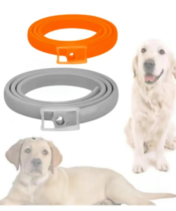 62 cm Köpek Pire ve Bit Kovucu Boyun Tasması