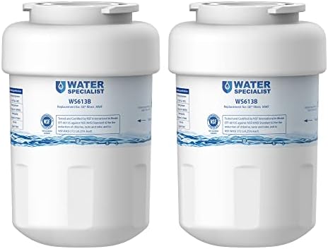 Waterspecialist MWF Refrigerator Water Filter, Replacement for GE® Smart Water MWFP, MWFA, GWF, HDX FMG-1, WFC1201, GSE25GSHECSS, PC75009, RWF1060, 2 Filters