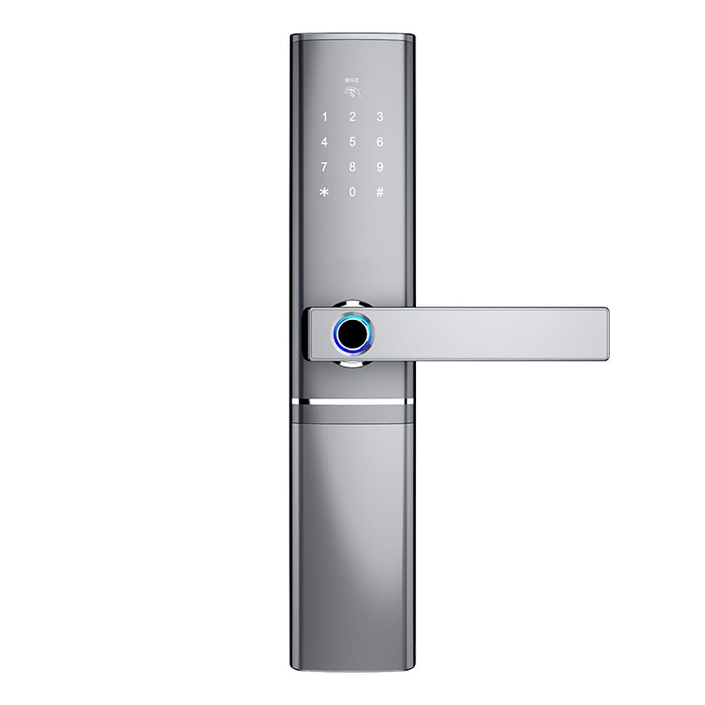 Serrure de porte intelligente digitale à reconnaissance faciale et contrôle à distance