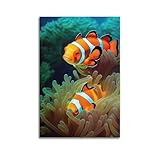 YQXTRB Poster décoratif sur toile représentant un poisson et un amphiprion Ocellaris - Décoration murale moderne pour chambre à coucher (50 x 75 cm)