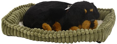 88 Unlimited Perfect Petzzz 4916 Rottweiler, Plüsch