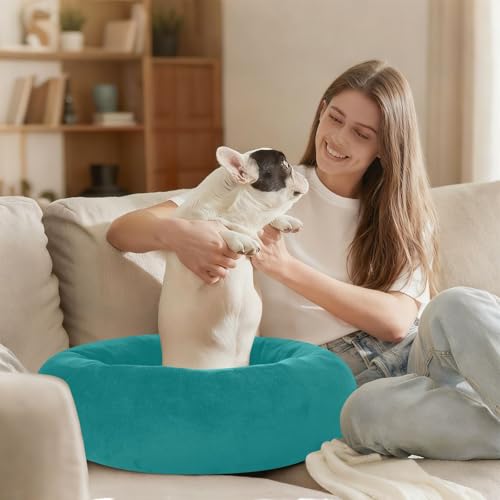 Panier d'hiver lavable bleu sarcelle taille S pour petit chien - 7