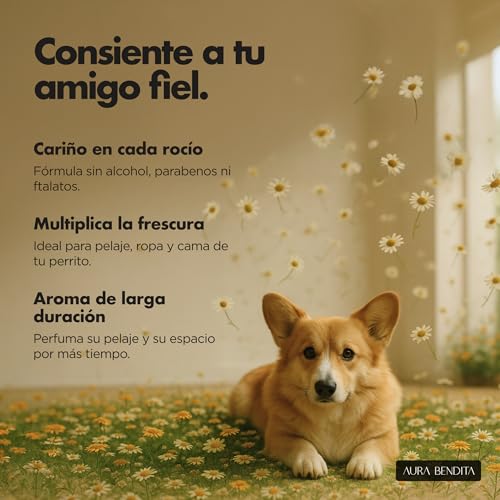 Opiniones de Accesorios para fragancias al mejor precio. 24 Imagen adicional